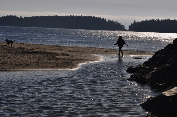 person on beach with dog